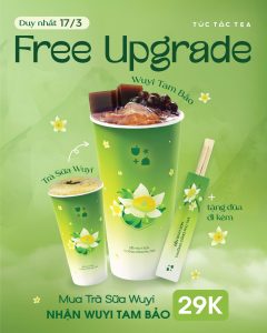 Túc Tắc Tea - Trà sữa Wuyi Tam Bảo